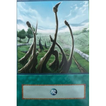 Yu-Gi-Oh Dragon Shrine Anime Single Card