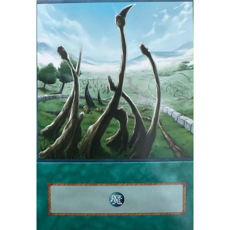 Yu-Gi-Oh Dragon Shrine Anime Single Card