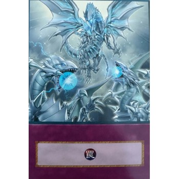 Yu-Gi-Oh Majesty of the White Dragons Anime Single Card