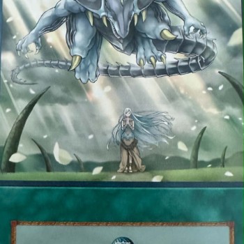Yu-Gi-Oh Wishes for Eyes of Blue Anime Single Card
