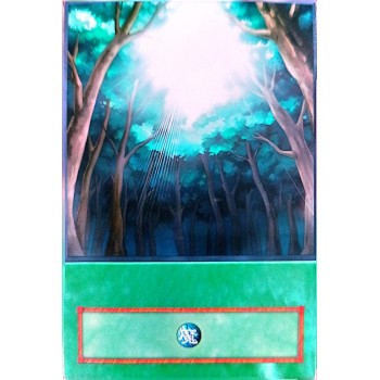 Yu-Gi-Oh 5DS Ancient Forest Anime Single Card