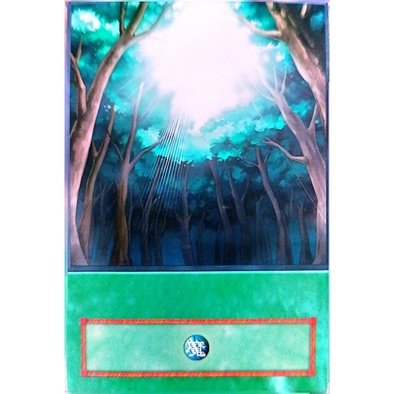 Yu-Gi-Oh 5DS Ancient Forest Anime Single Card