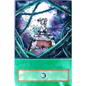 Yu-Gi-Oh 5DS Black Garden Anime Single Card