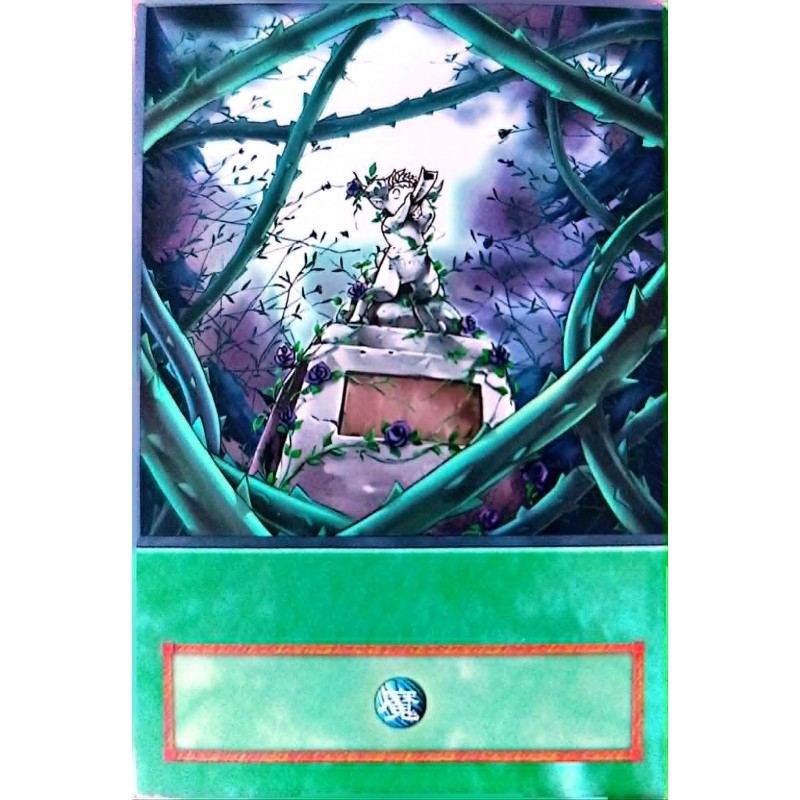 Yu-Gi-Oh 5DS Black Garden Anime Single Card