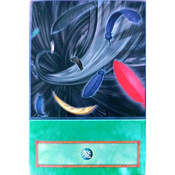 Yu-Gi-Oh 5DS Black Whirlwind Anime Single Card