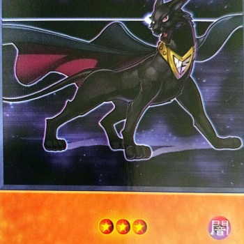 Yu-Gi-Oh GX Neo-Spacian Dark Panther Anime Single Card